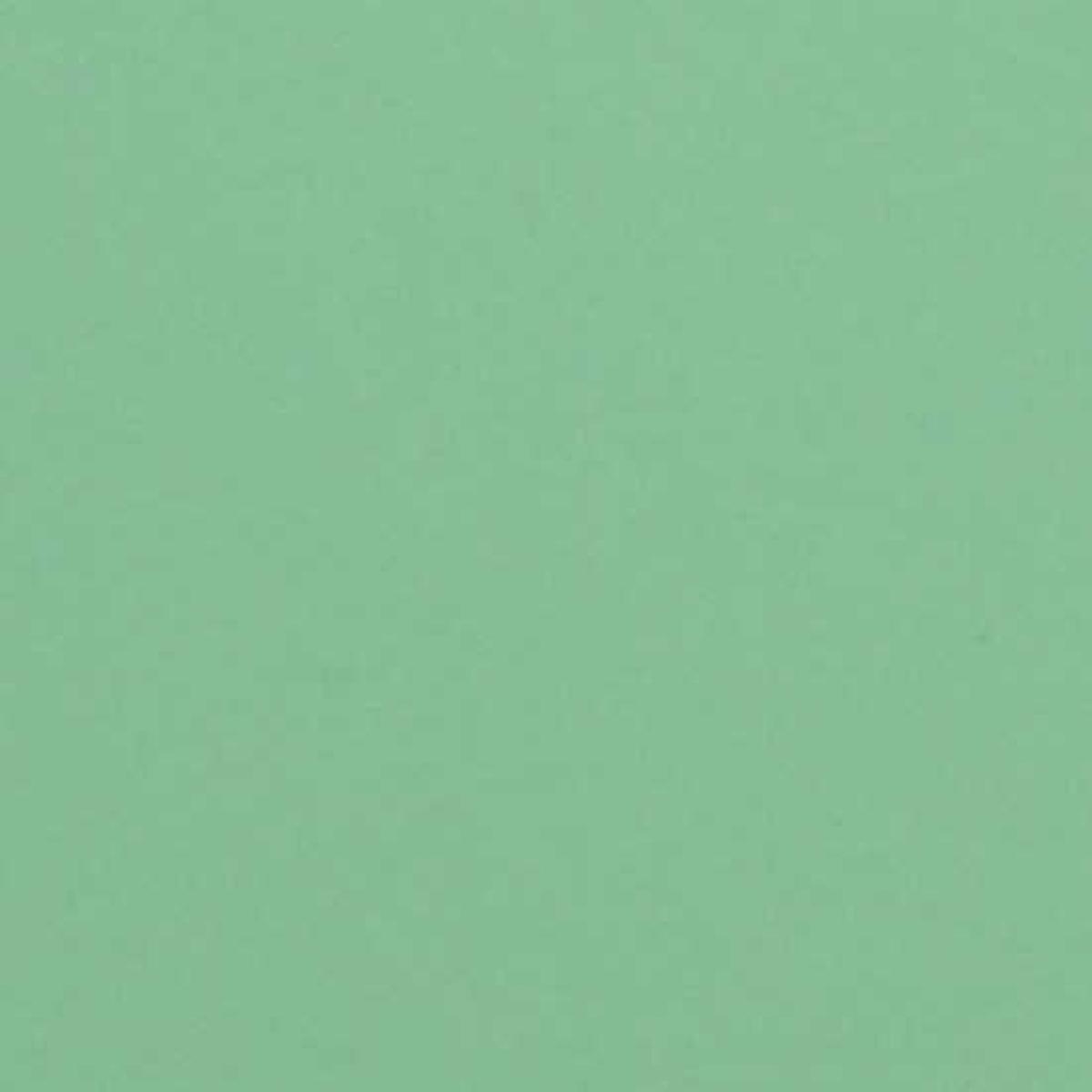 CARTA COLORATA  verde  80g. 70x100