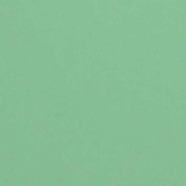 CARTA COLORATA  verde  80g. 70x100