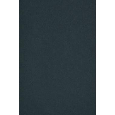 CARTONCINO SIRIO 210g. 70x100 Verde