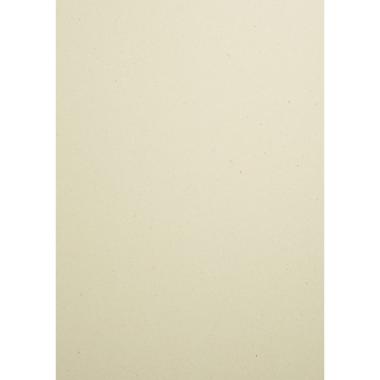 CARTA WOODSTOCK 225g. 70x100 betulla