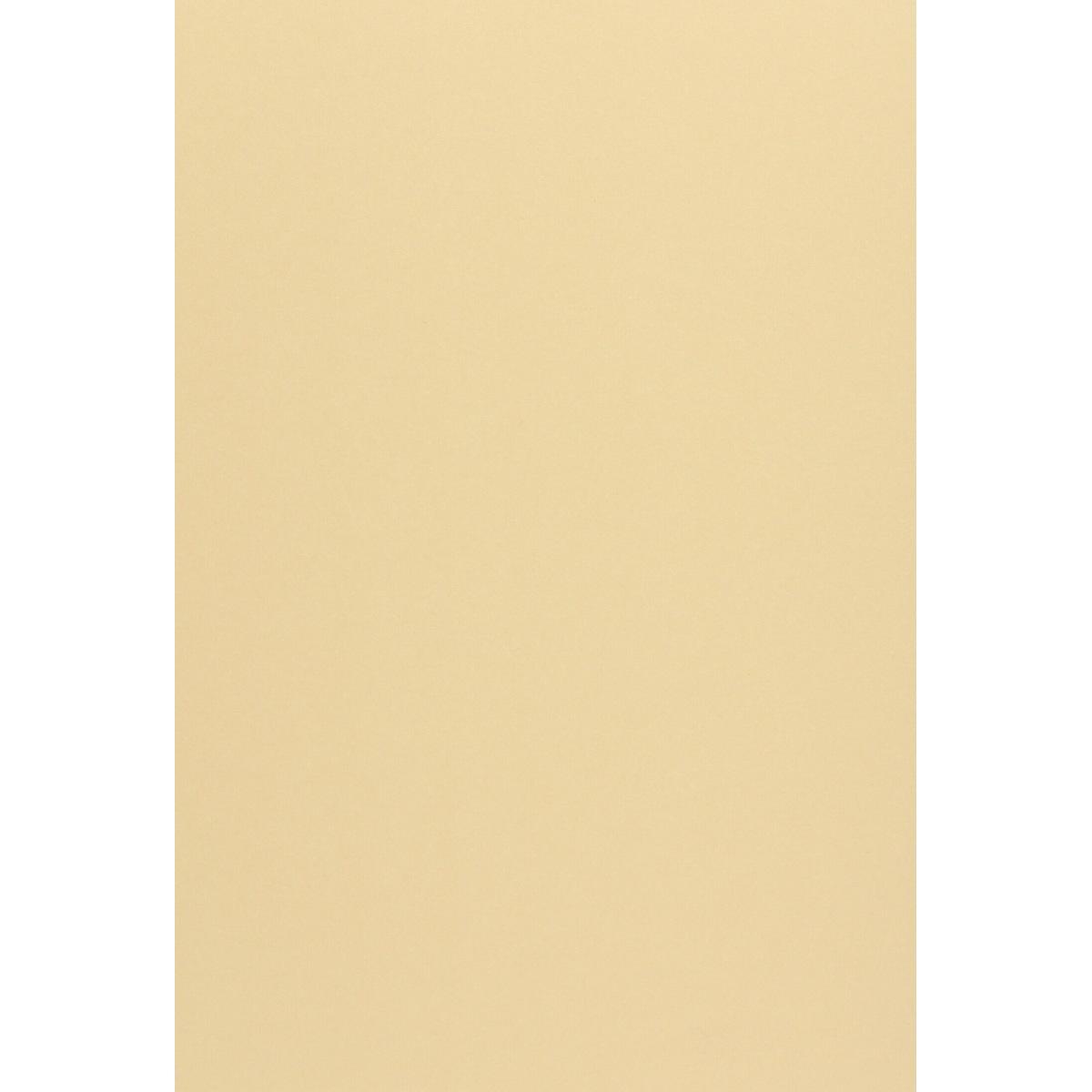 CARTA WOODSTOCK 225g. 70x100 camoscio
