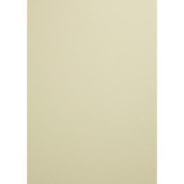 CARTA WOODSTOCK 225g. 70x100 grigio