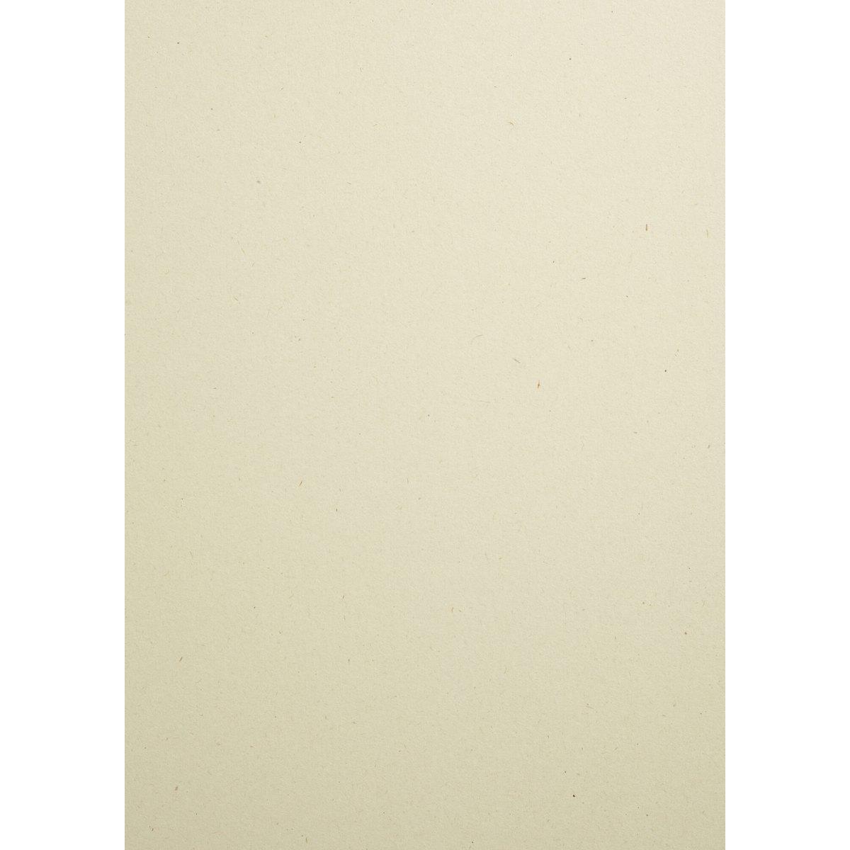 CARTA WOODSTOCK 260g. 70x100 betulla
