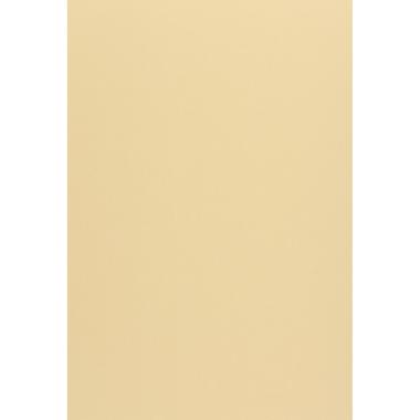 CARTA WOODSTOCK 260g. 70x100 camoscio