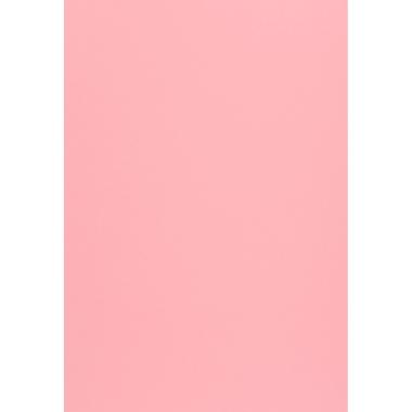 CARTA WOODSTOCK 260g. 70x100 rosa