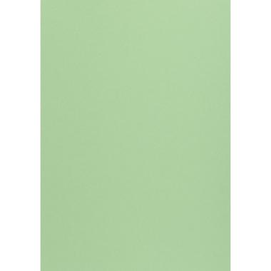 CARTA WOODSTOCK 260g. 70x100 verde