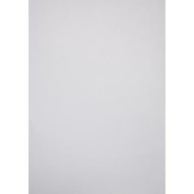 CARTA PATINATA lucida 170g 64x88