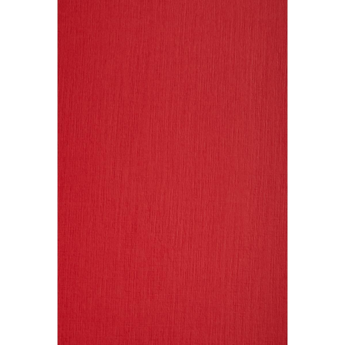 CARTONCINO SIRIO E20 telato 290g. 70x100 lampone