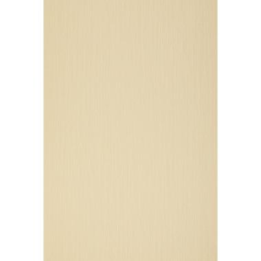 CARTONCINO SIRIO E20 telato 290g. 70x100 paglierino