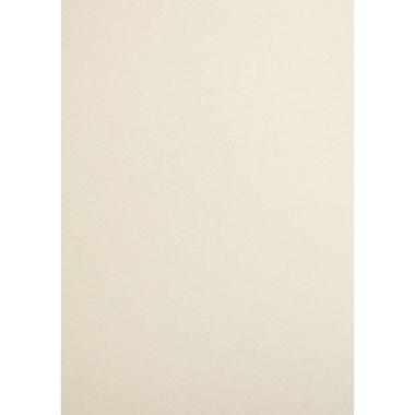 CARTONCINO SIRIO perlato oyster shell 300g 70x100