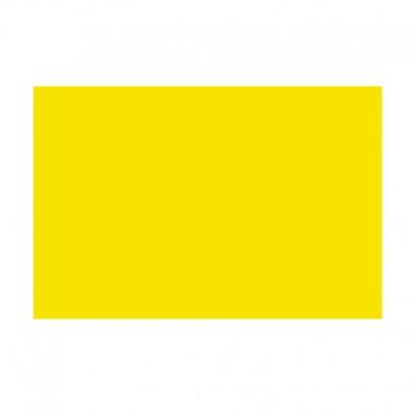 CARTONCINO PLASTIFICATO giallo 250g. 70x100