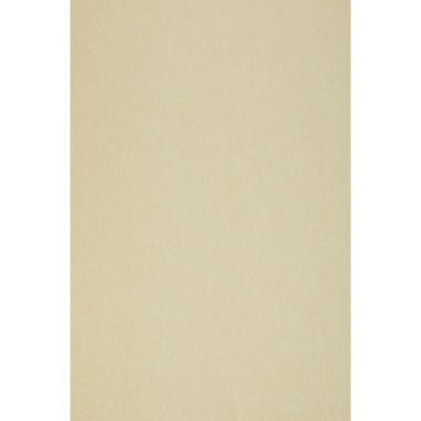 CARTA PERGAMENA naturale 160g. 70x100