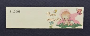 Bigliettini per bomboniera nascita art.11.0098 in cf. da 100 pz