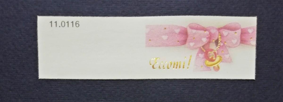 Bigliettini per bomboniera nascite art. 11.0116 in cf. da 100 pz