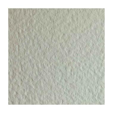 Cartoncino Tintoretto Gesso 250gr 70X100