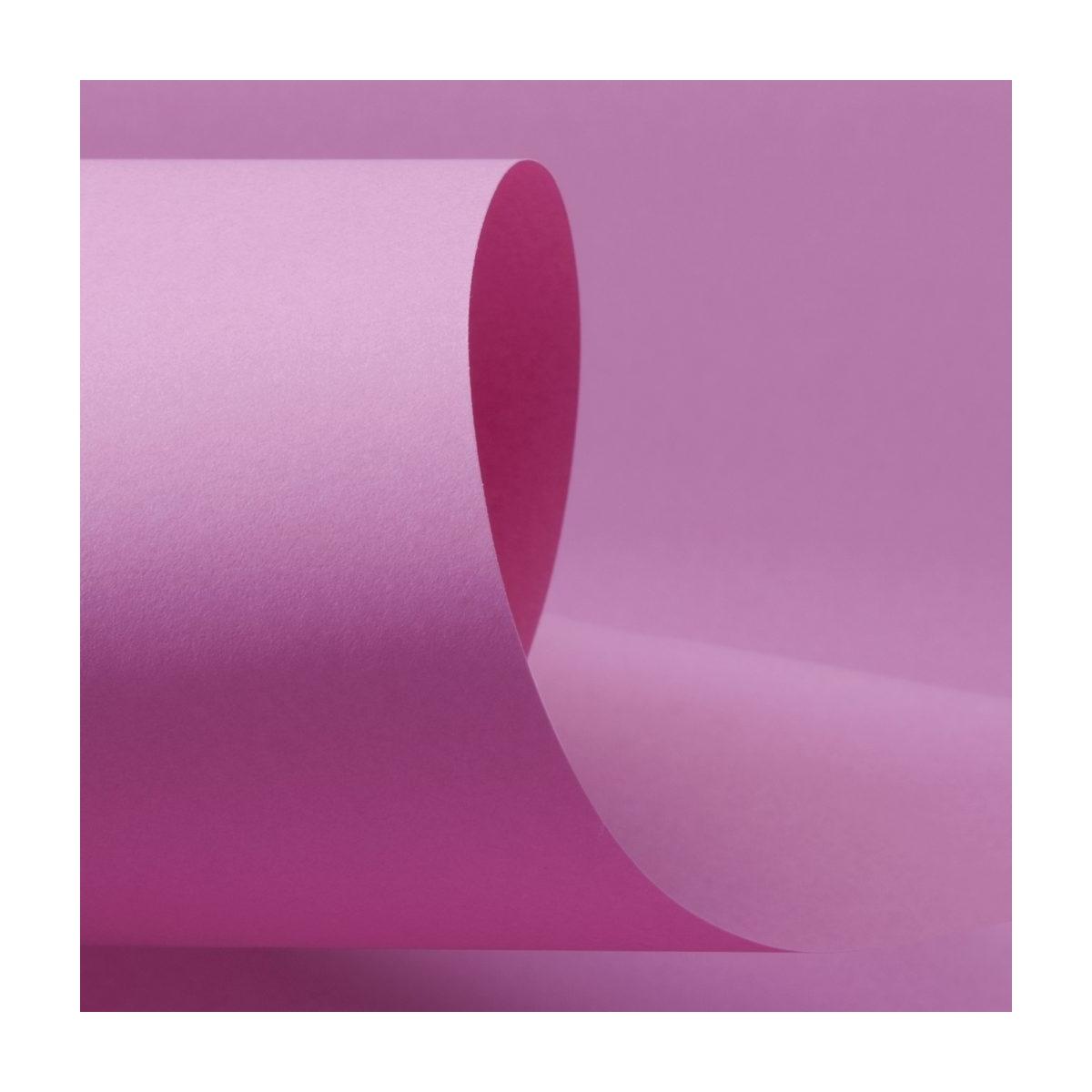CARTONCINO PLASTIFICATO ROSA 250g. 70x100