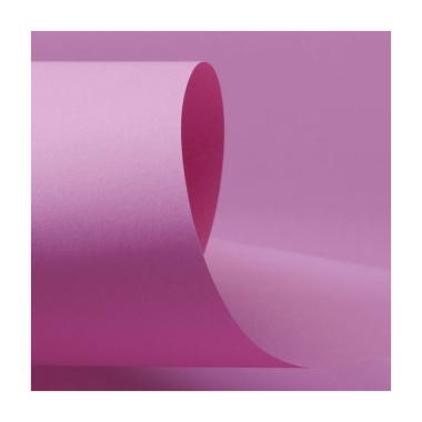 CARTONCINO PLASTIFICATO ROSA 250g. 70x100