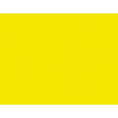 CARTONCINO PLASTIFICATO limone chiaro 250g. 70x100